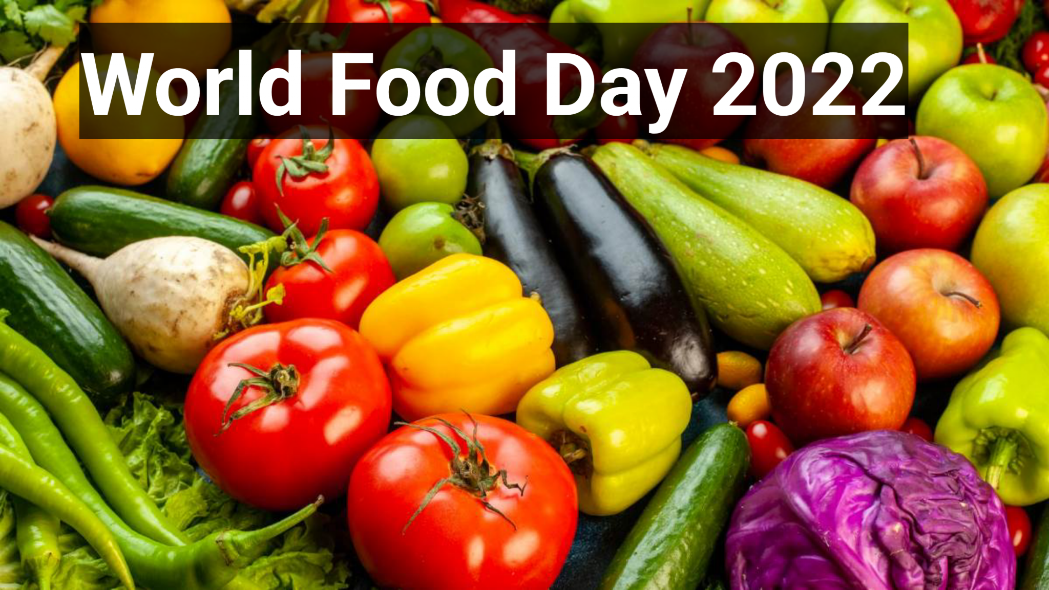 2022世界粮食日 